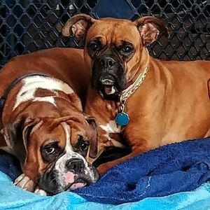 Meet your Posher, Sherry